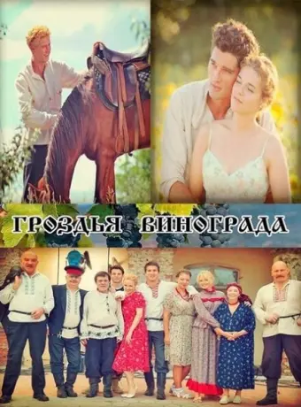 Гроздья винограда 2016